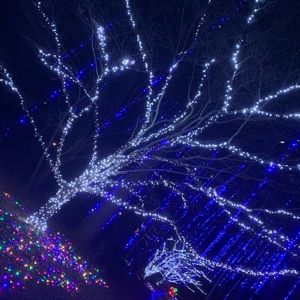 Meet your Posher, Alayna